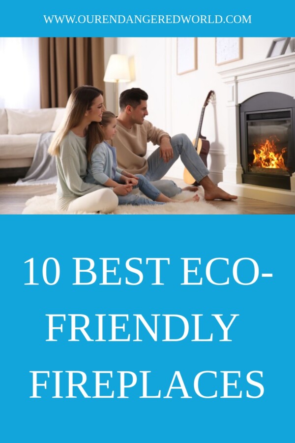 10 Best Eco-Friendly Fireplaces: Top Sustainable Alternatives