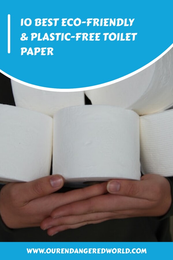 10 Best Eco-Friendly & Plastic-Free Toilet Paper 16 10 Best Eco Friendly Plastic Free Toilet Paper generated pin 30729