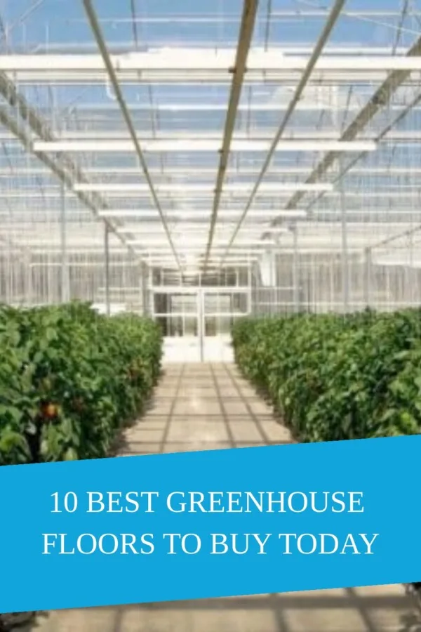 10 Best Greenhouse Floors to Buy Today generated pin 3287