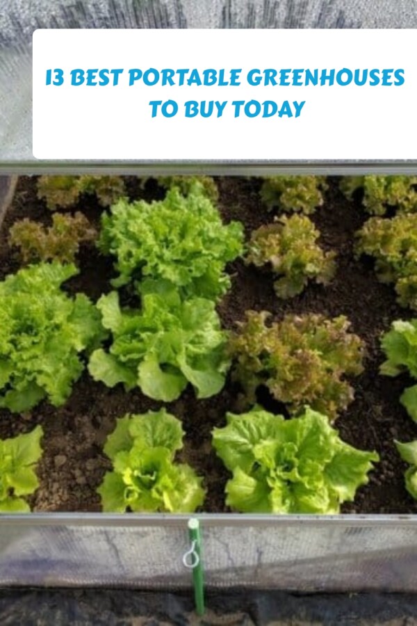 13 Best Portable Greenhouses to Buy Today 14 13 Best Portable Greenhouses to Buy Today generated pin 2859