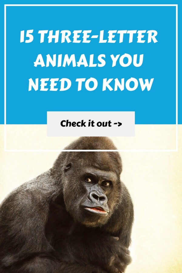 15 Three Letter Animals You Need to Know generated pin 11736