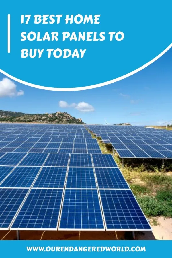 17 Best Home Solar Panels to Buy Today generated pin 26472