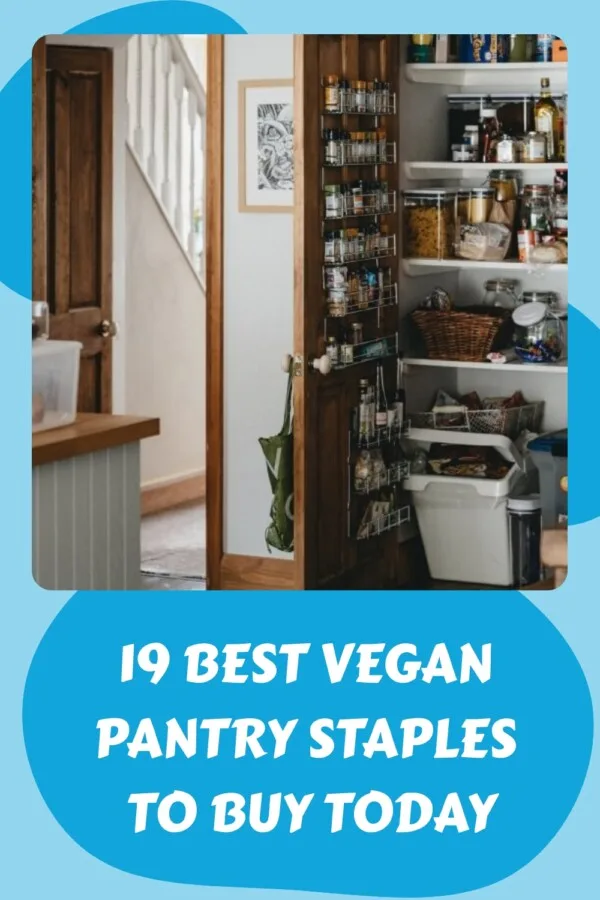 19 Best Vegan Pantry Staples to Buy Today generated pin 19756