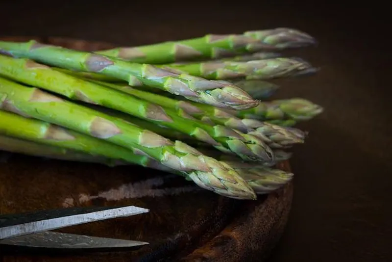 19 Best Vegetables to Grow in Greenhouses 9 Asparagus