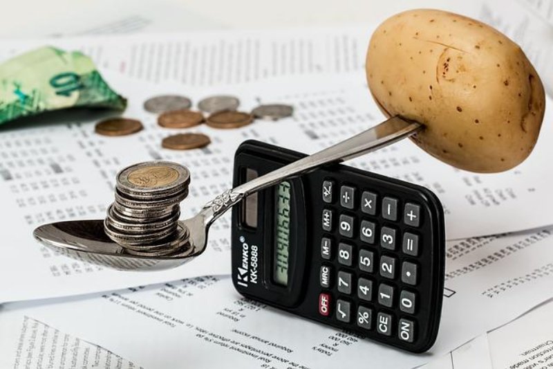19 Best Vegetables to Grow in Greenhouses 26 Calculator and Money