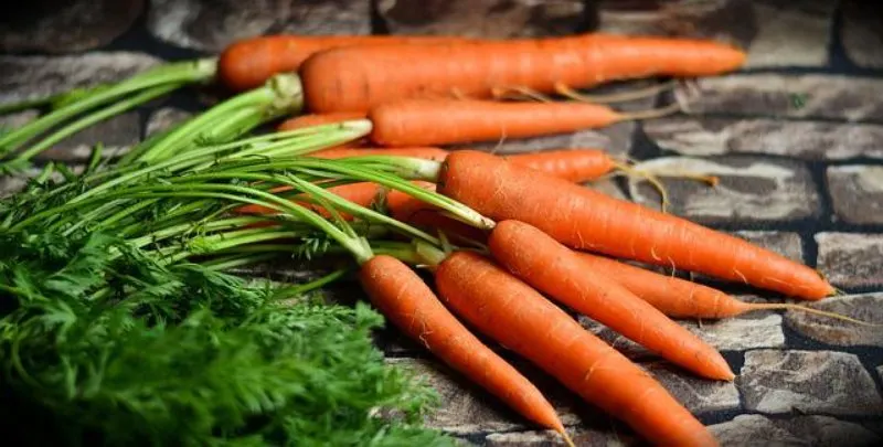 19 Best Vegetables to Grow in Greenhouses 5 Carrots