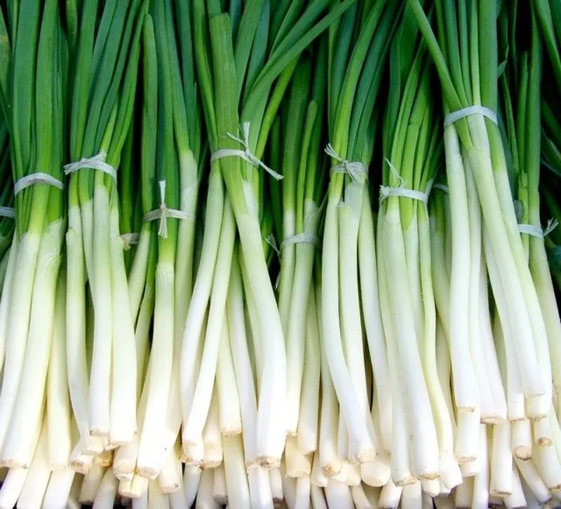 19 Best Vegetables to Grow in Greenhouses 7 Green Onions