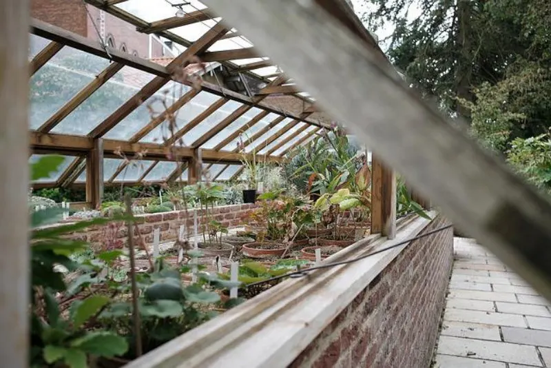 19 Best Vegetables to Grow in Greenhouses 24 Greenhouse