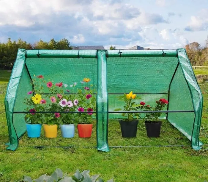 10 Best Greenhouse Kits to Buy in 2023 9 Quictent 71" WX 36" D X 36" H Portable Cloche Mini Greenhouse, Large Zipper Doors Garden Green House - 50 Pcs T-Type Plant Tags Included (Green)