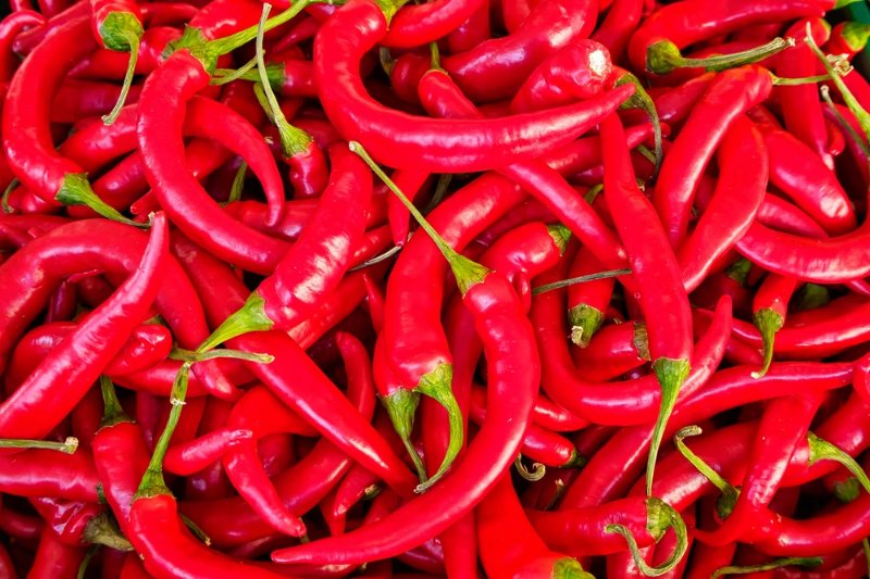 Red Chili