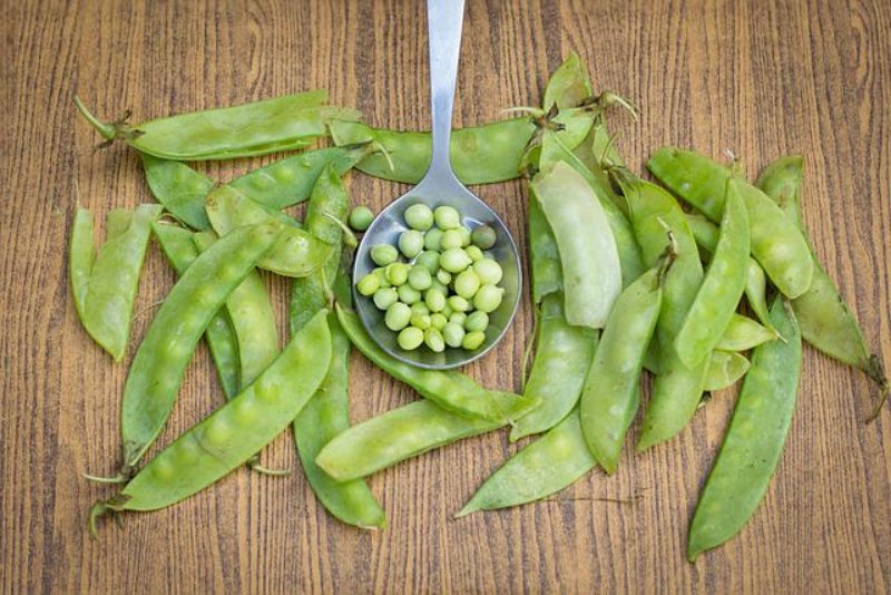 Snow Peas