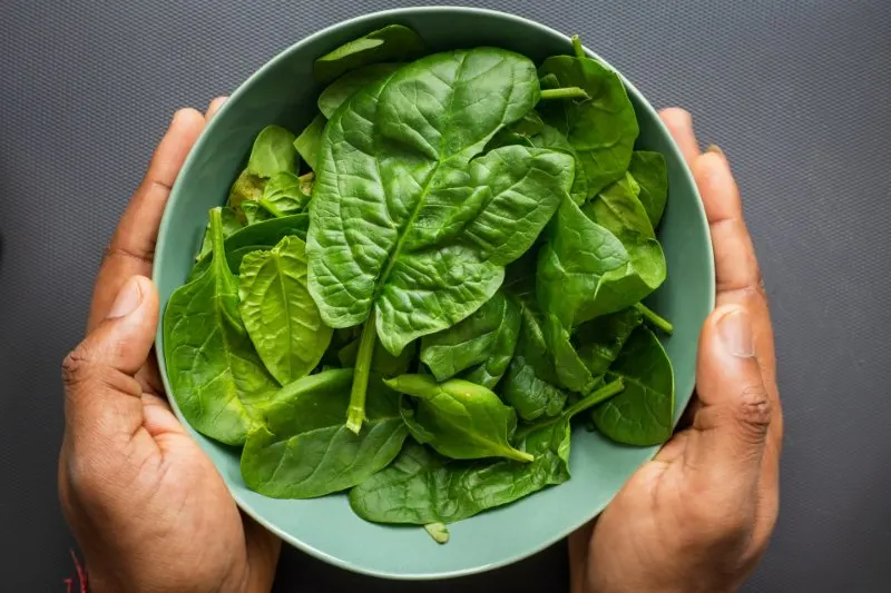 19 Best Vegetables to Grow in Greenhouses 6 Spinach Bowl