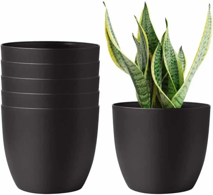 9 Cheap Nursery Pots for Greenhouses & Gardening 8 T4U 6 Inch Self Watering Planters