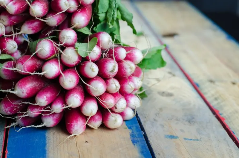 19 Best Vegetables to Grow in Greenhouses 4 Turnips
