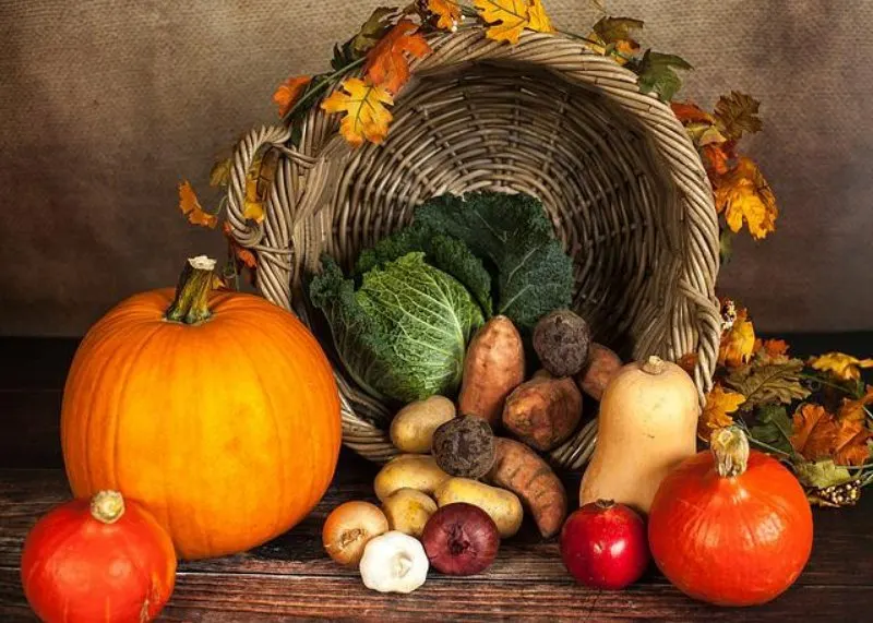 Basket of Vegetables