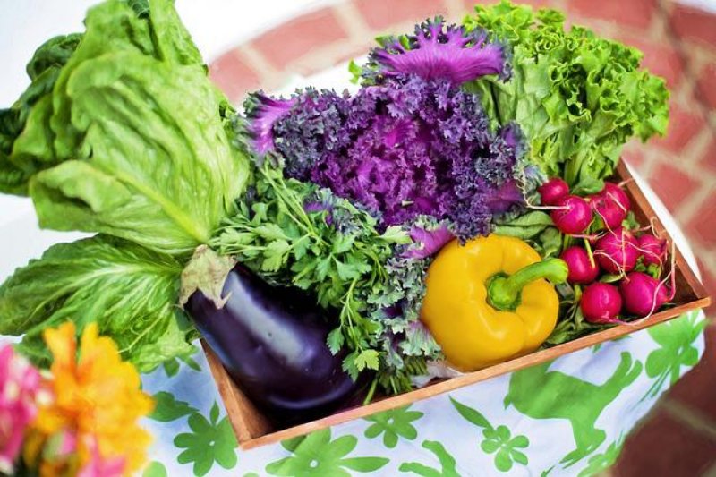 Vegetables in a wooden bucket