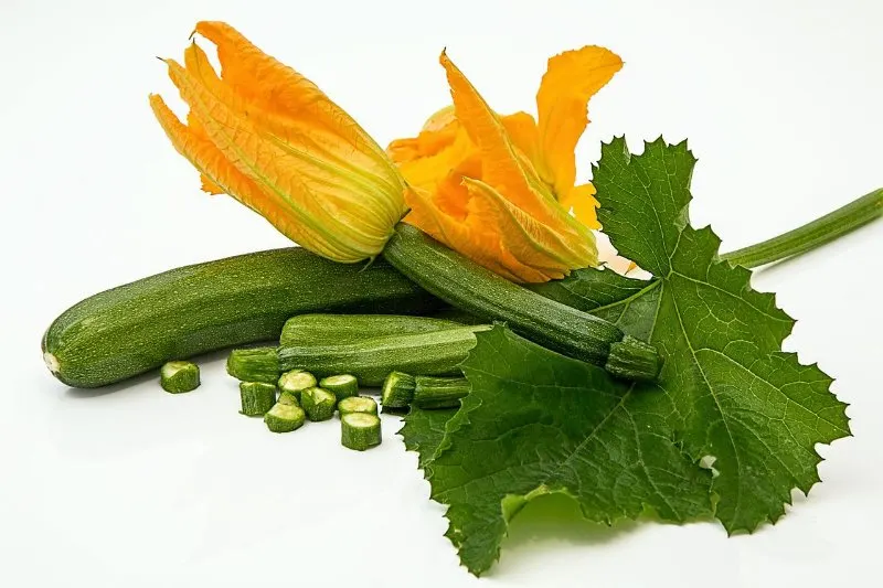 19 Best Vegetables to Grow in Greenhouses 13 Zucchini