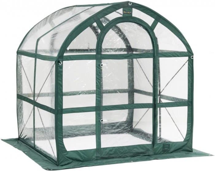 Flower House FHSP300CL SpringHouse Greenhouse