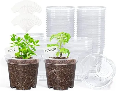 homenote Clear Nursery Pots