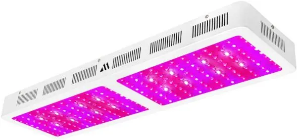 Dimgogo 2400w LED grow light