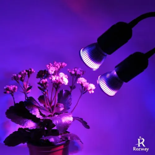 Rozway dual head greenhouse lights