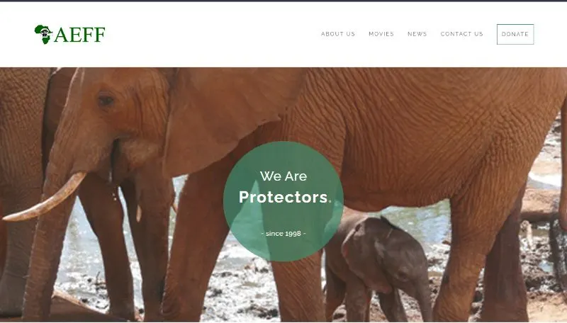 15 Best Environmental Organizations in Africa 15 Aeff Homepage