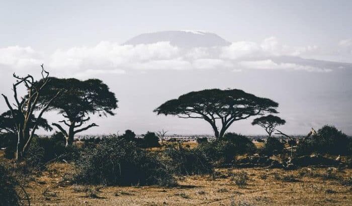 15 Best Environmental Organizations in Africa 1 environmental organizations in Africa