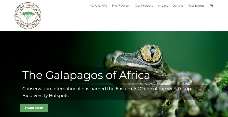 African Rainforest Homepage
