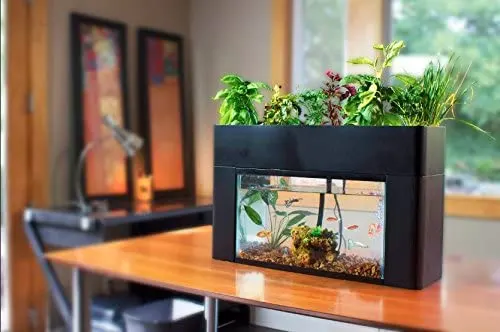 6 Best Aquaponics Greenhouse Kits in 2023 4 AquaSprouts Garden