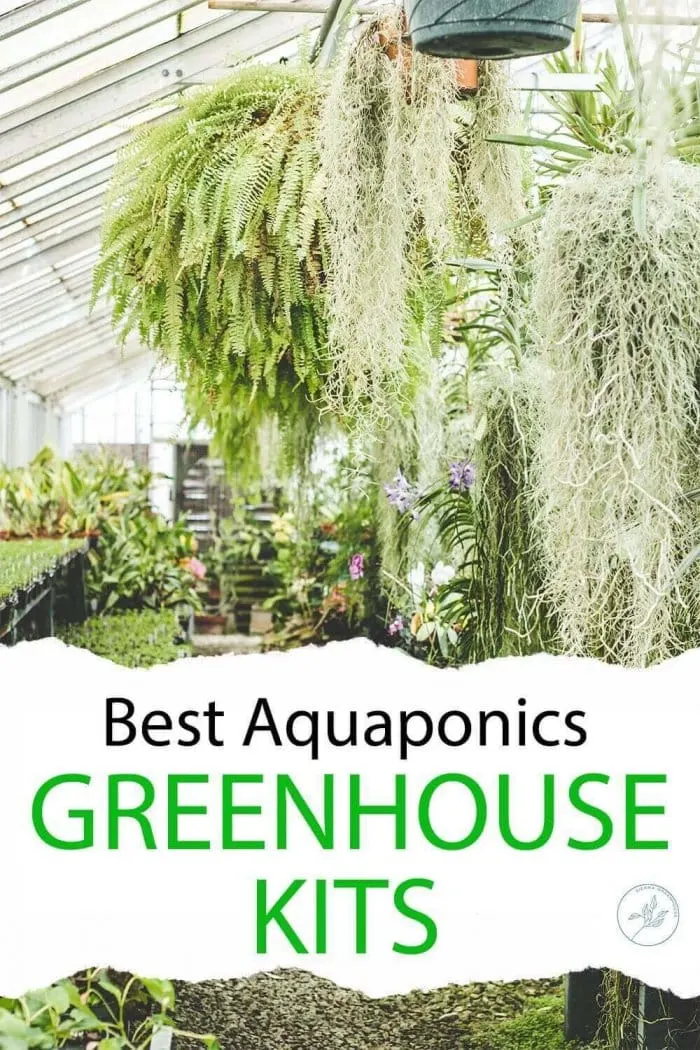 6 Best Aquaponics Greenhouse Kits in 2023 1 Plants in the pot hanging