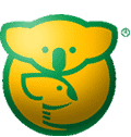 Australian Koala Foundation: How to Donate and Help Koalas 1 australian-koala-foundation-1304935-2947876