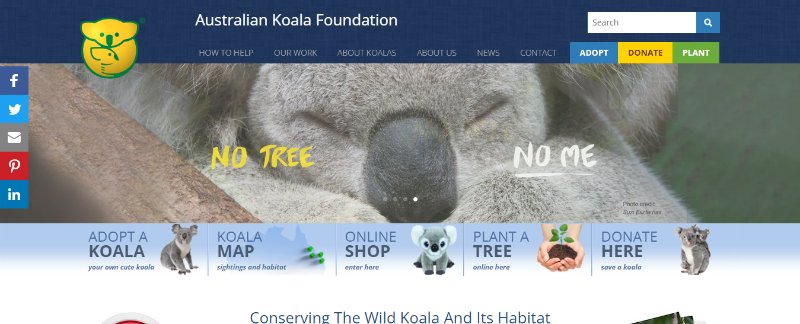 Australian Koala Foundation Webpage