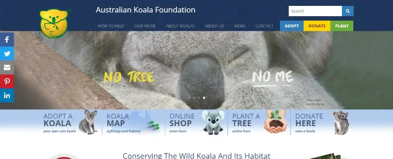 Australian Koala Foundation: How to Donate and Help Koalas 1 Australian Koala Foundation Webpage