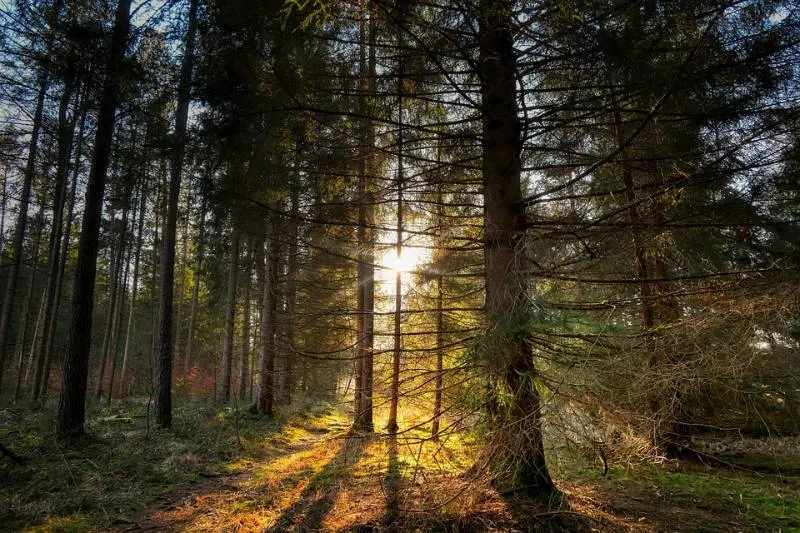 18 Types of Terrain You Need to Know 10 Autumn Forest