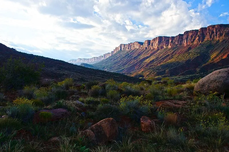 Colorado Plateau