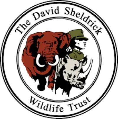 African Elephant: Is This Species Endangered? 10 David Sheldrick Wildlife Trust Logo