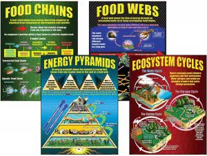 13 Best Posters on Saving Earth and Environment 6 Ecosystems Teaching Poster Set