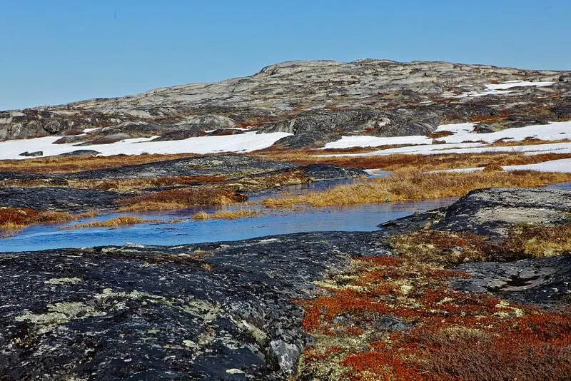 Greenland Tundra with ice