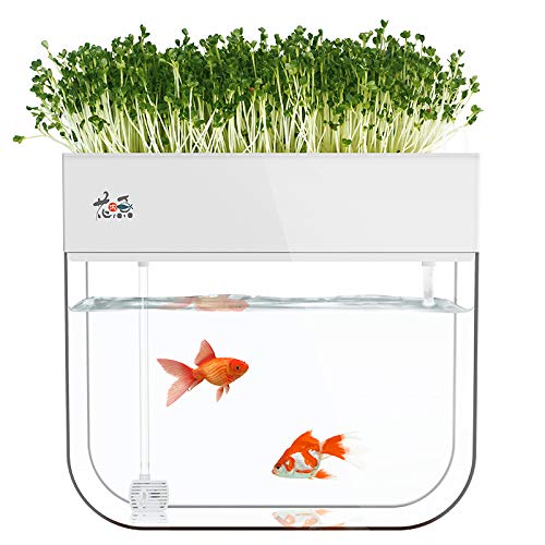 Huamuyu aquaponics kit