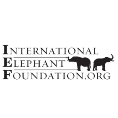 International Elephant Foundation logo