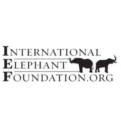 Best Environmental Organizations in North American 4 International Elephant Foundation logo