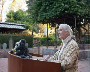 Climate Change Quotes That Will Surprise You 5 Jane Goodall
