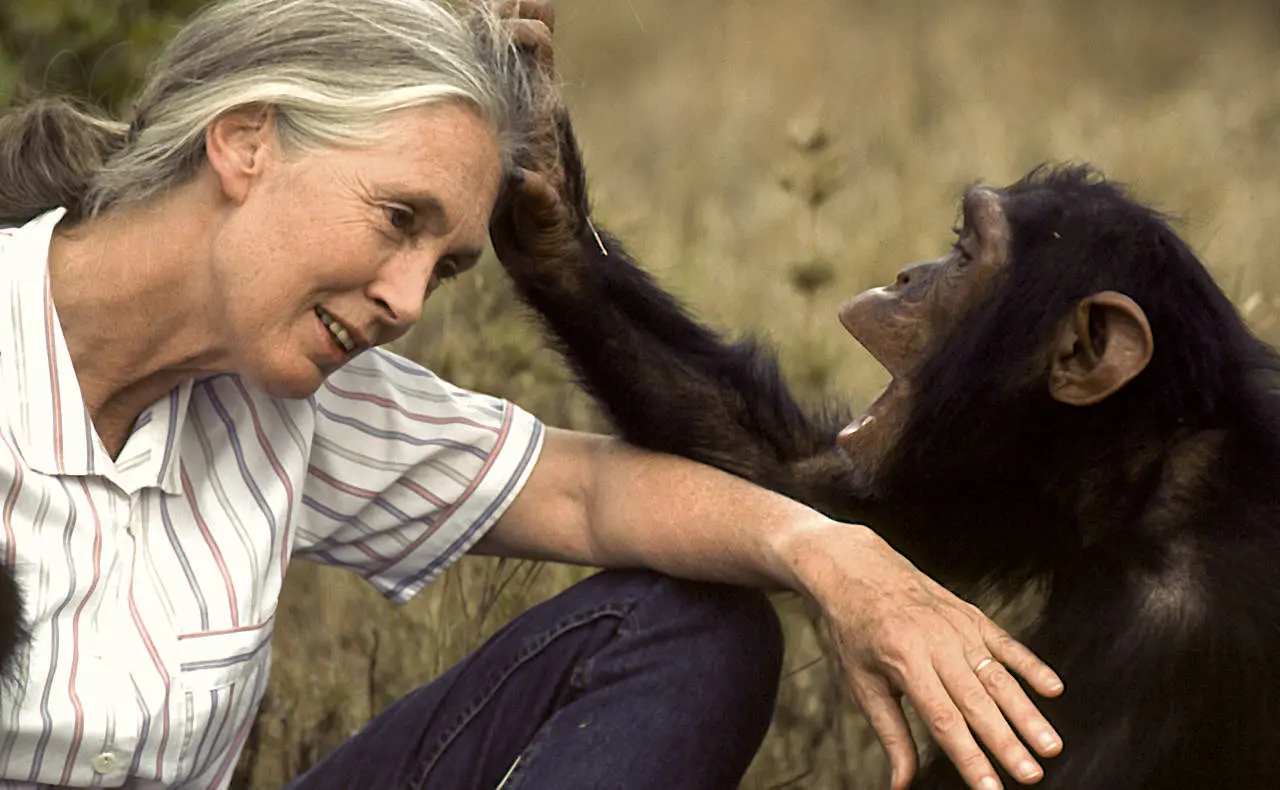 15 Celebrity Environmentalists You Need to Know 1 Celebrity Environmentalists