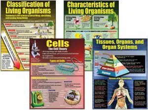 13 Best Posters on Saving Earth and Environment 10 Living Organisms Teaching Poster Set