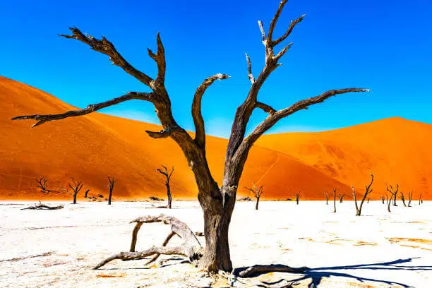 Top 15 World's Largest National Parks You Won't Believe Exist 10 Namib-Naukluft Park
