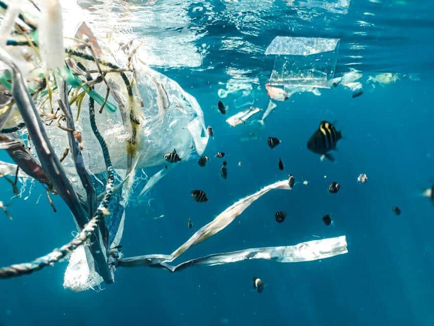 Plastic Polluted Ocean
