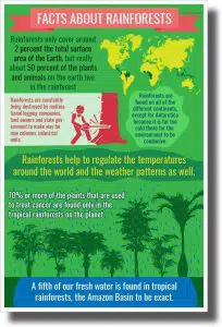 13 Best Posters on Saving Earth and Environment 7 Rainforest Facts