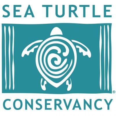 Sea Turtle Conservancy logo