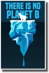 13 Best Posters on Saving Earth and Environment 1 There is No Planet B - Polar Bear