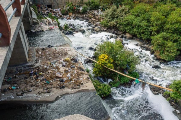 How Do Animals Adapt To Their Environment? 7 Water Pollution & Contamination